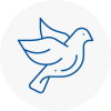 Bird Prevention Swadlincote